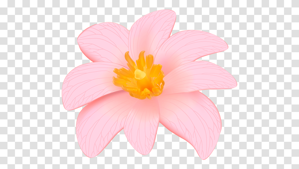 Flower Design In, Plant, Blossom, Lily, Dahlia Transparent Png