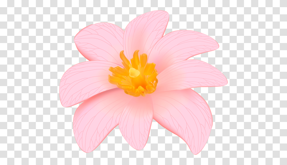 Flower Designes Flower Clipart, Plant, Blossom, Lily, Dahlia Transparent Png
