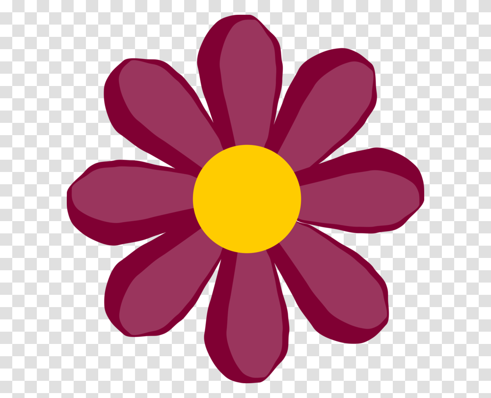 Flower Designs Common Daisy Drawing White, Petal, Plant, Blossom, Daisies Transparent Png