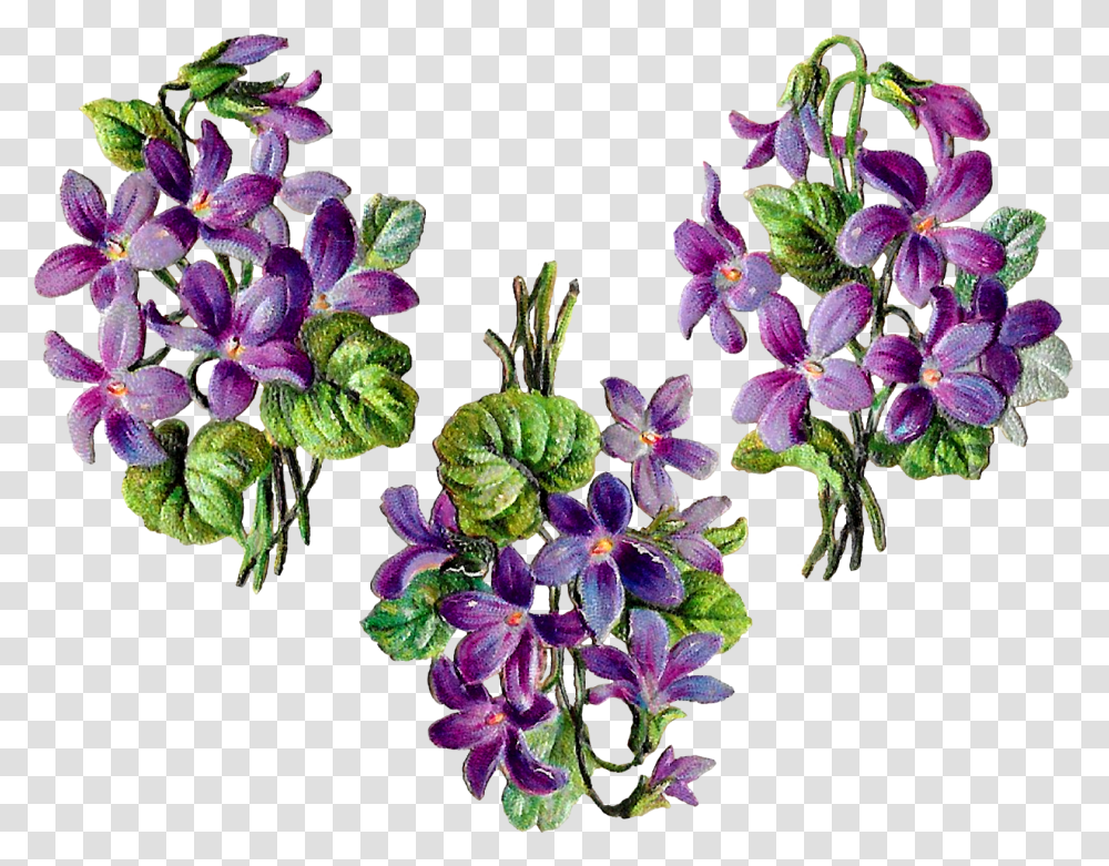 Flower Digital Bundle Wildflower Floral Craft Collage, Plant, Purple, Acanthaceae, Iris Transparent Png