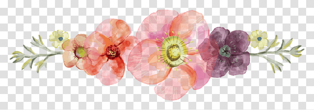 Flower Divider, Anther, Plant, Blossom, Petal Transparent Png