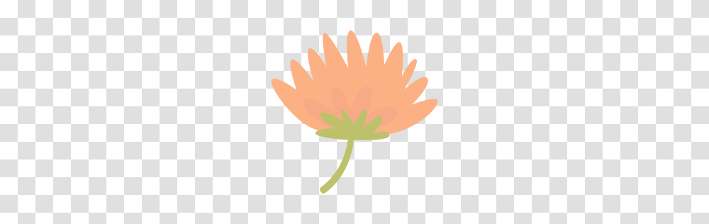 Flower Doodle Or To Download, Plant, Blossom, Petal, Anther Transparent Png