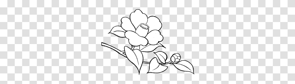 Flower Doodle Pack Album On Imgur White Flower Doodle, Plant, Petal, Floral Design, Pattern Transparent Png