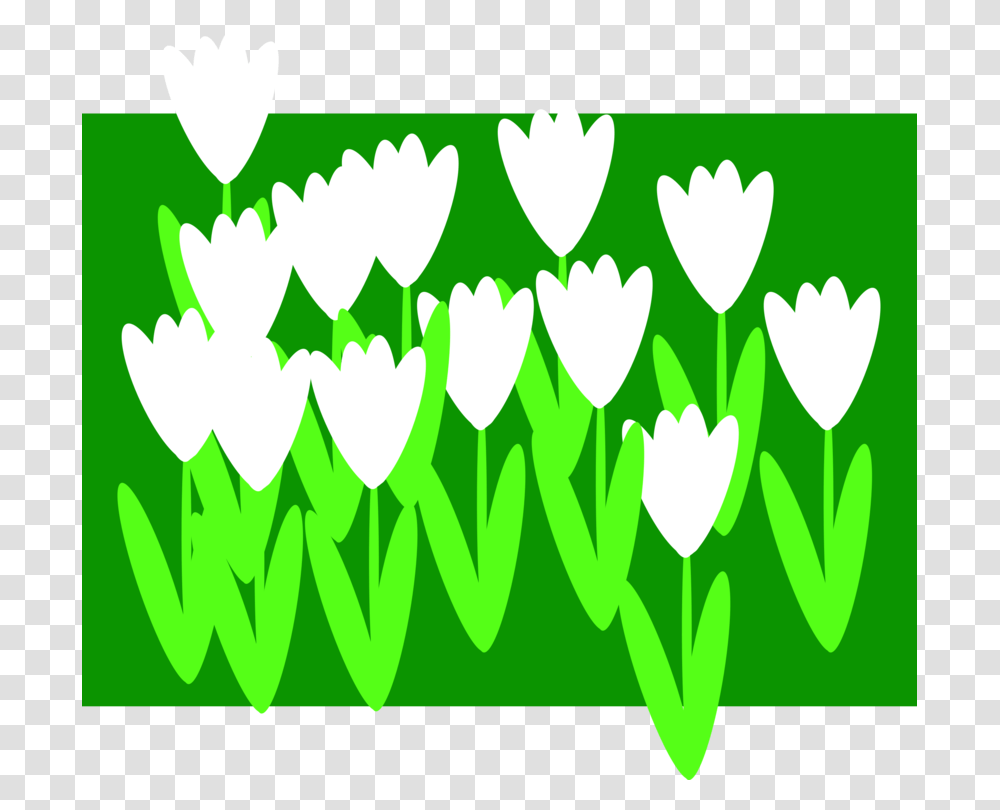 Flower Download Drawing Symbol, Green, Plant, Vegetation, Outdoors Transparent Png