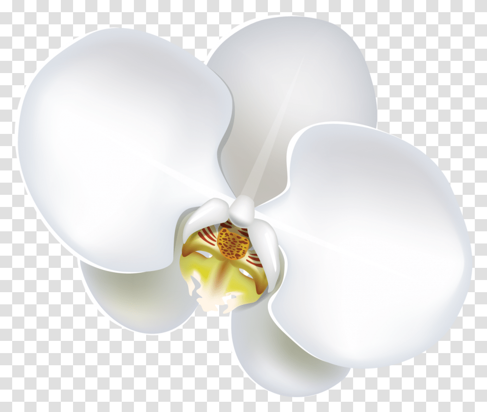 Flower Download Moth Orchid, Plant, Lamp, Blossom Transparent Png