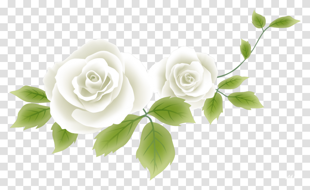 Flower Drawing Clip Art Risunok Rozi Bez Fona, Rose, Plant, Blossom, Green Transparent Png