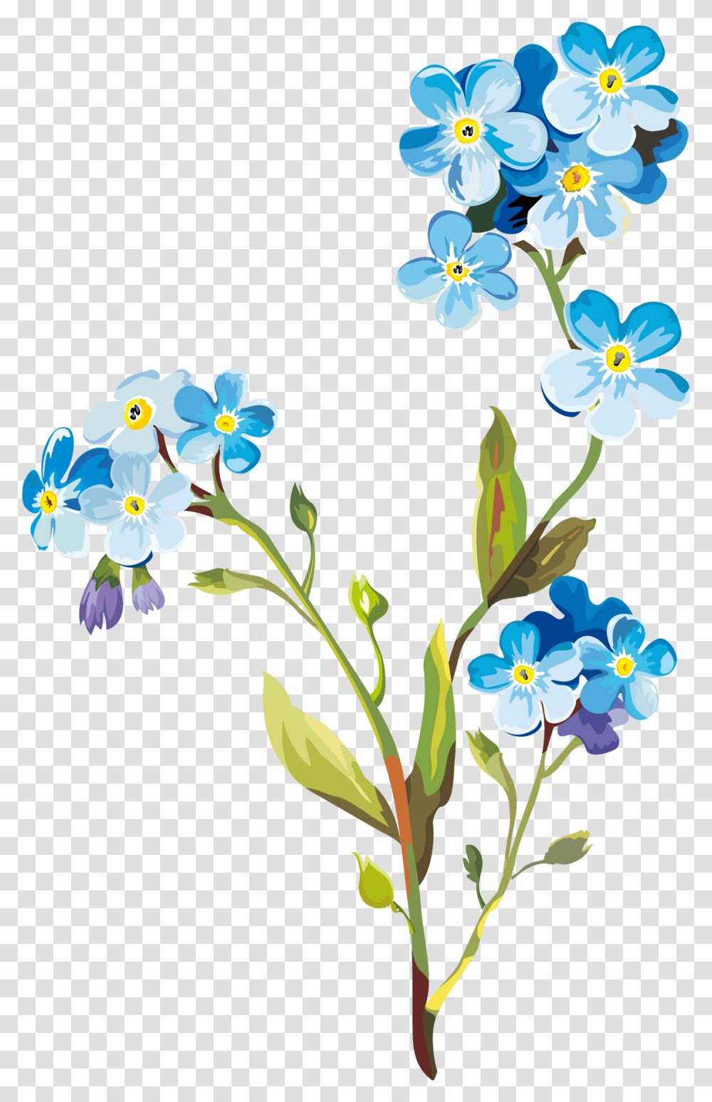 Flower Drawing Clip Art Spring Flowers Drawing, Plant, Anemone, Geranium, Flax Transparent Png