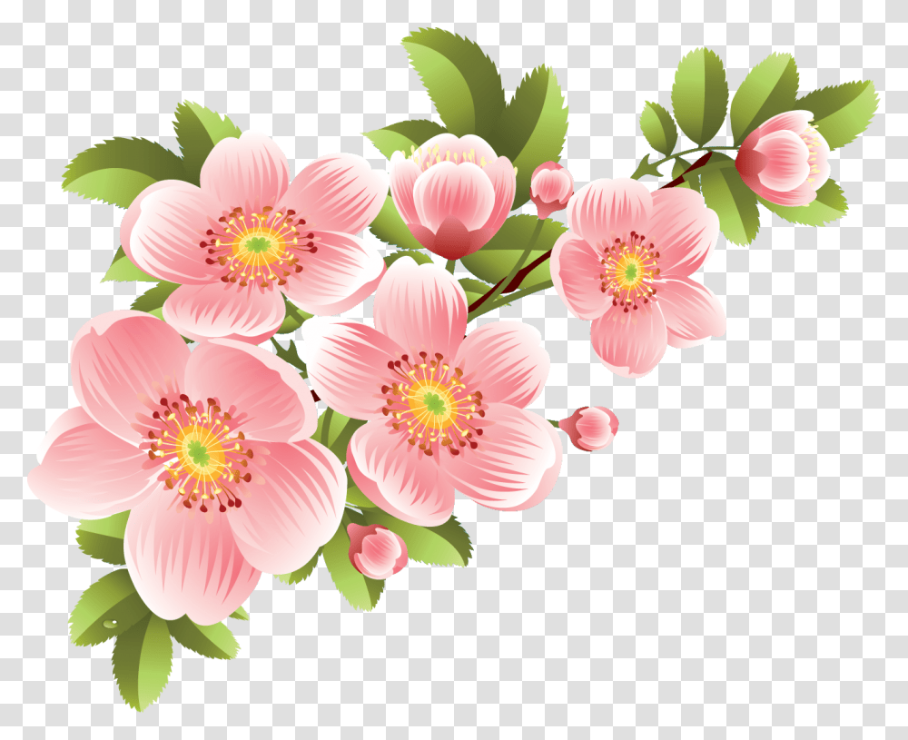 Flower Drawing Color, Plant, Floral Design, Pattern Transparent Png