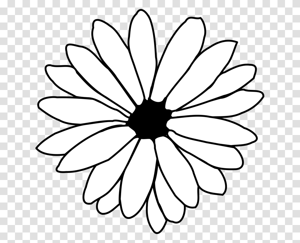 Flower Drawing Common Daisy Line Art Petal, Plant, Daisies, Blossom, Pattern Transparent Png