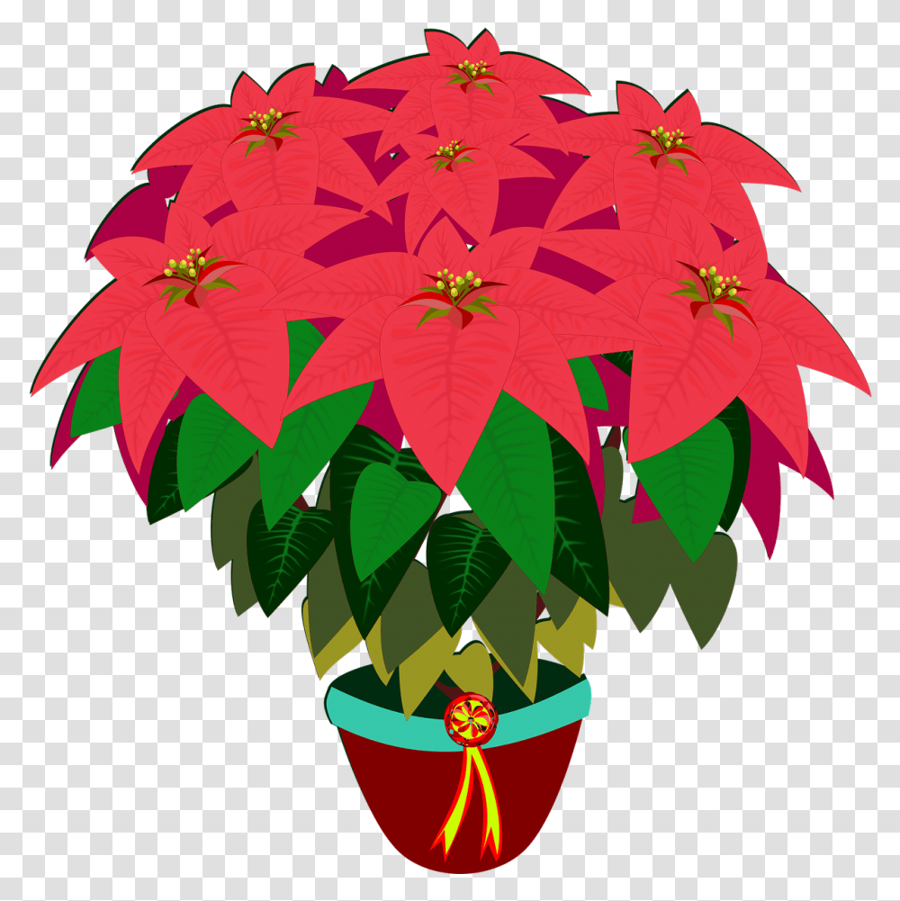 Flower Drawing Poinsettia Digital Image, Leaf, Plant, Tree, Ornament Transparent Png