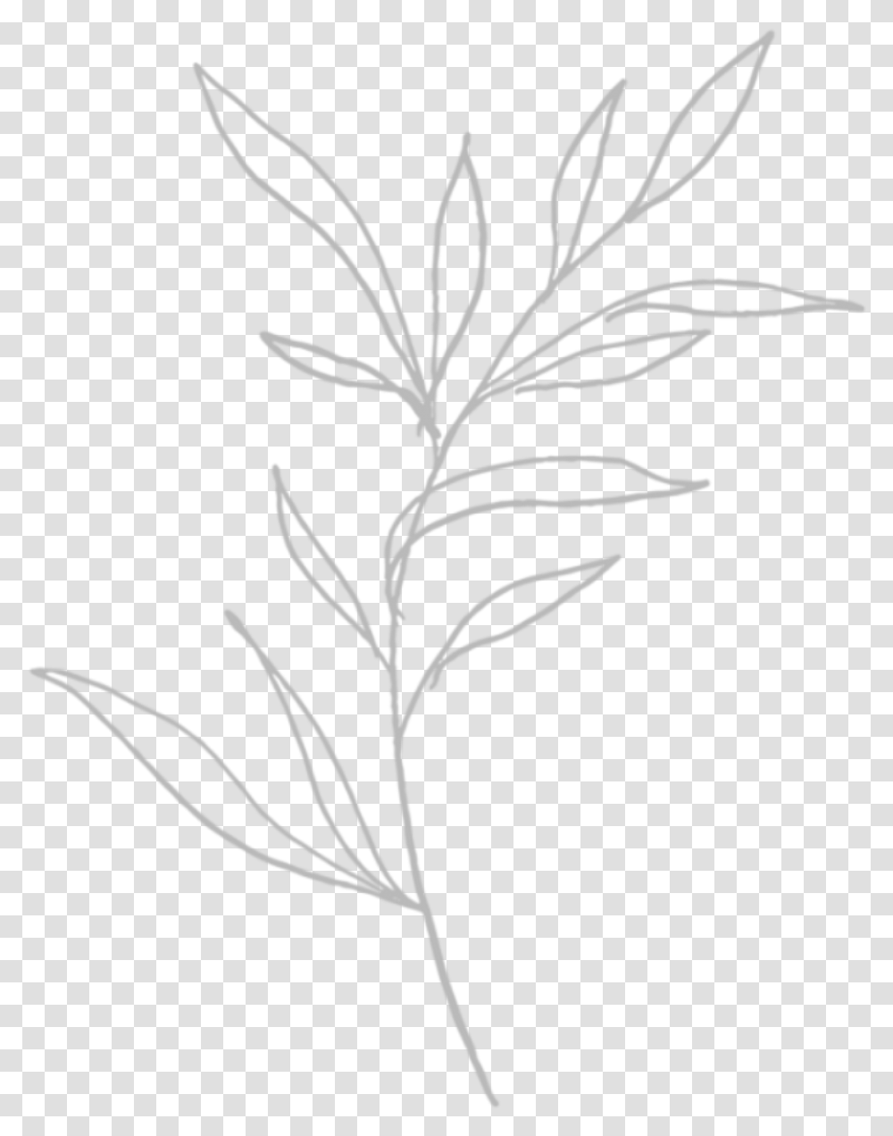 Flower Drawing Sticker Sketch, Stencil, Bird, Animal, Plant Transparent Png