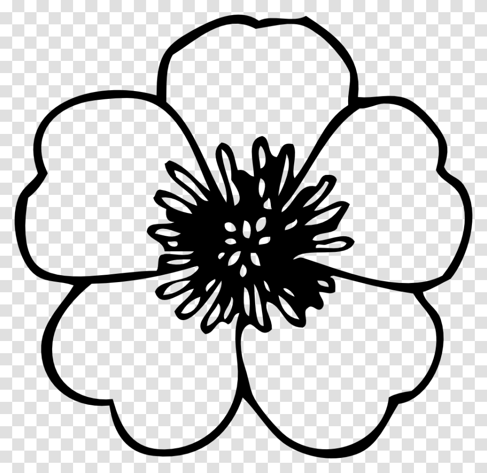 Flower Drawings, Plant, Blossom, Petal, Hibiscus Transparent Png