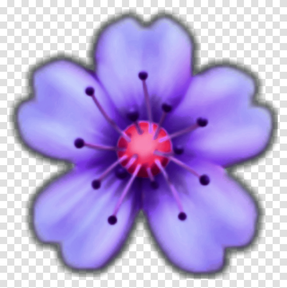 Flower Emoji Background, Plant, Geranium, Blossom, Petal Transparent Png