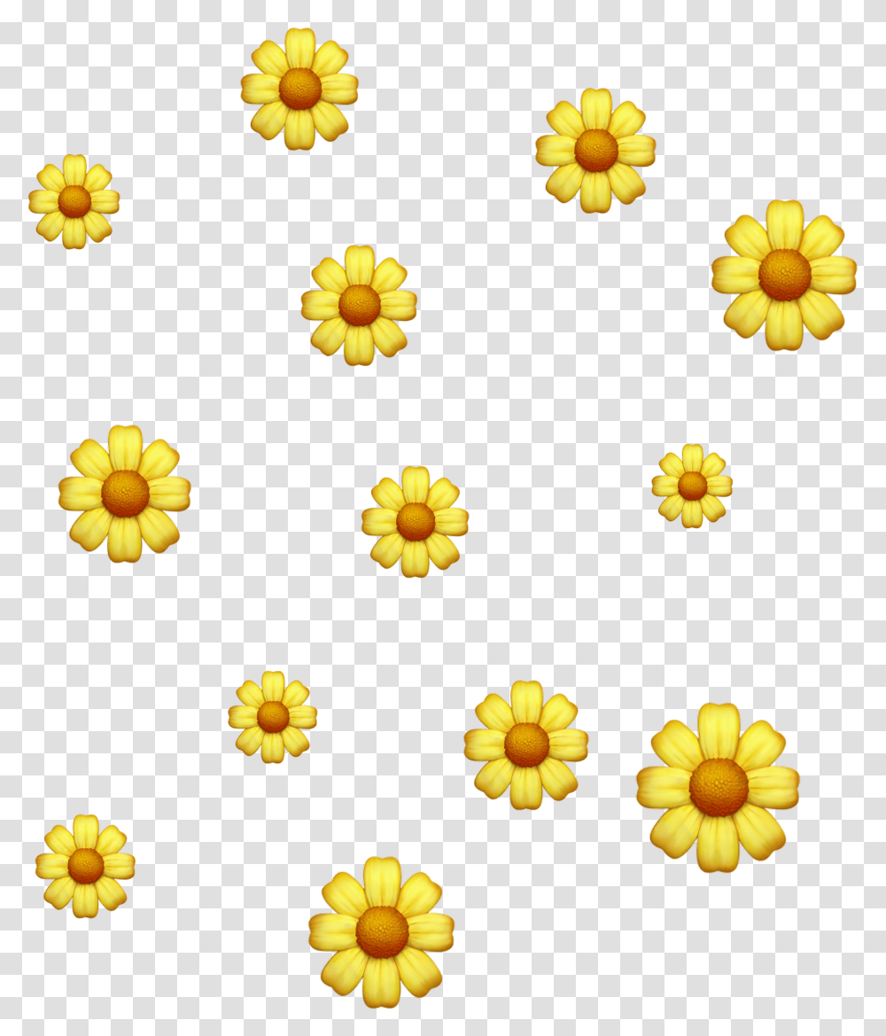 Flower Emoji Emoji Background Picsart, Plant, Daisy, Nature, Outdoors Transparent Png