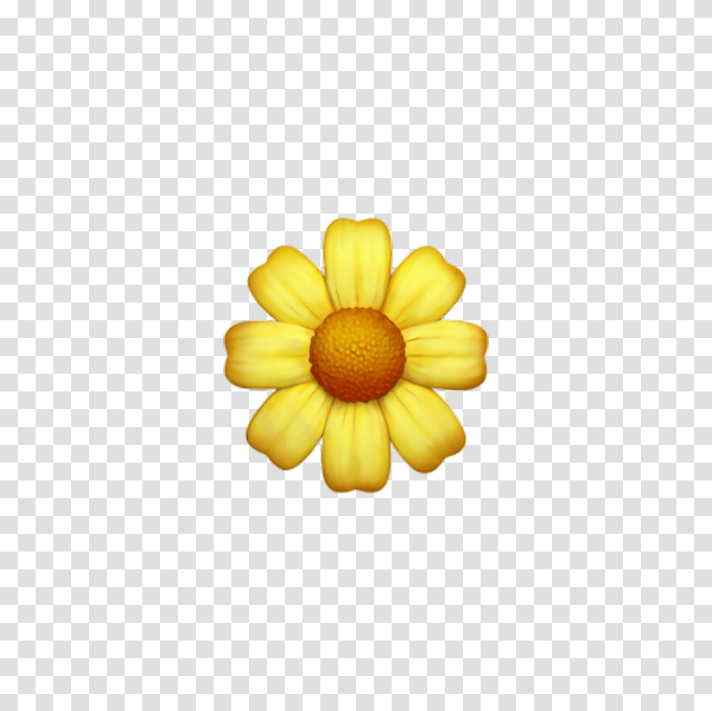 Flower Emoji Free For Iphone Yellow Flower Emoji, Plant, Blossom, Daisy, Daisies Transparent Png