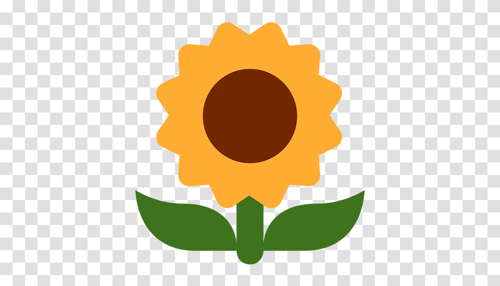 Flower Emoji Ios, Plant, Blossom, Sunflower, Outdoors Transparent Png