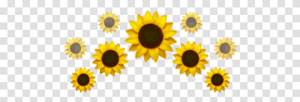 Flower Emoji Iphone Fresh, Plant, Blossom, Sunflower, Petal Transparent Png