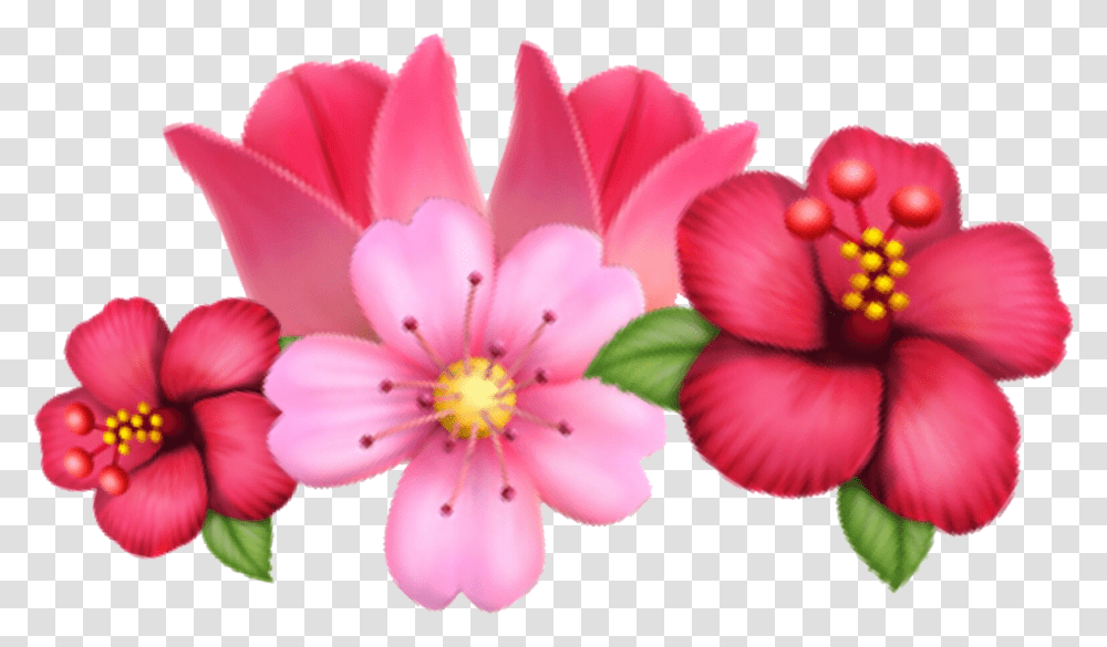 Flower Emoji Sakura Tulip Crown Flowercrown Crownflower, Plant, Anther, Blossom, Petal Transparent Png