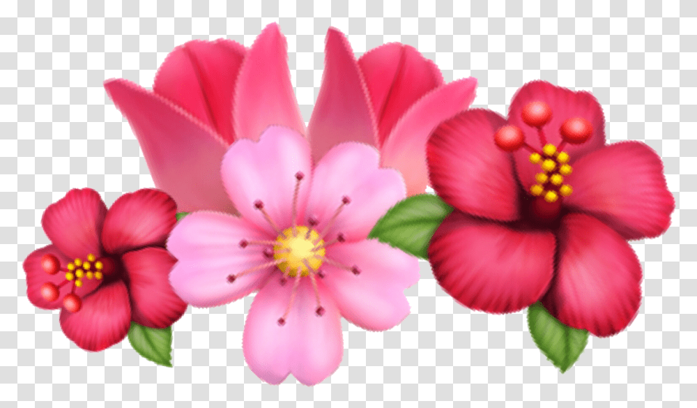 Flower Emoji Sakura Tulip Crown Flowercrown Flower Crown Emoji, Plant, Blossom, Anther, Petal Transparent Png