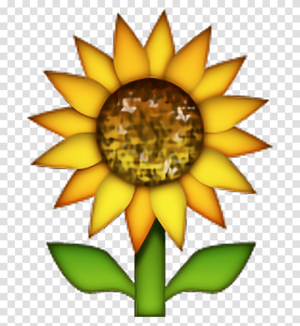 Flower Emoji Sunflower Emoji Flowers Freetoedit Sunflower Emoji Background, Plant, Blossom, Pond Lily, Pollen Transparent Png