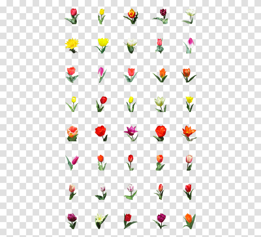 Flower Emoji Tulip, Plant, Petal, Paper Transparent Png