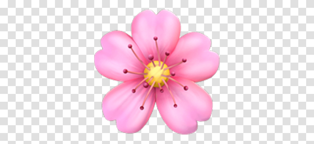 Flower Emoji Tumblr, Plant, Blossom, Anther, Geranium Transparent Png