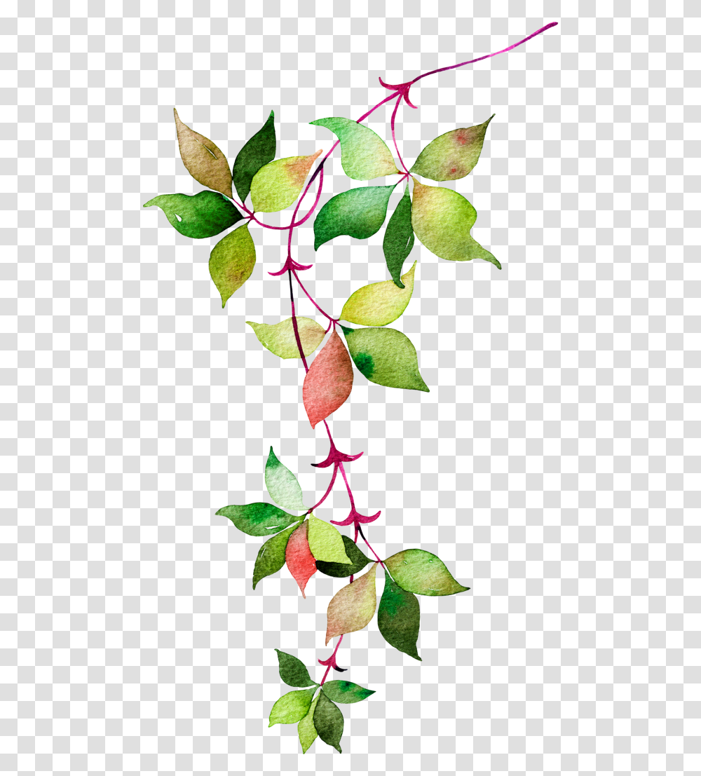 Flower Euclidean Icon Watercolor Leaves Watercolor Leaves And Flowers, Leaf, Plant, Tree, Veins Transparent Png
