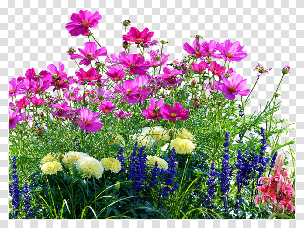 Flower Field Grass And Flower, Geranium, Plant, Potted Plant, Vase Transparent Png