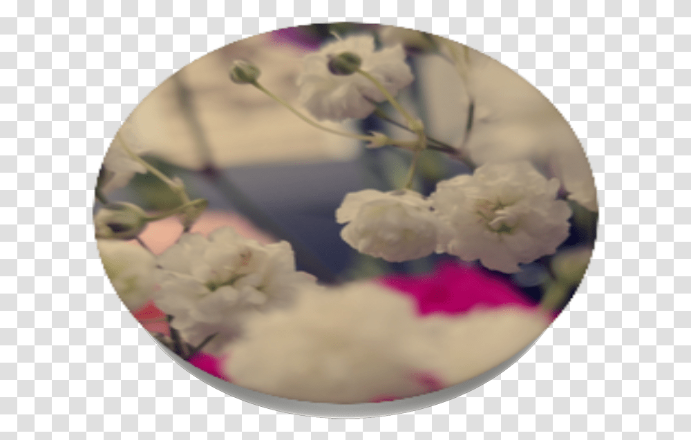 Flower Field Hydrangea, Plant, Vase, Jar, Pottery Transparent Png