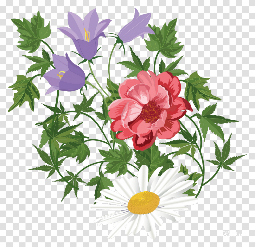 Flower Floral Design Clip Art Transprent Background Flowers Clipart, Plant, Blossom, Daisy, Pattern Transparent Png