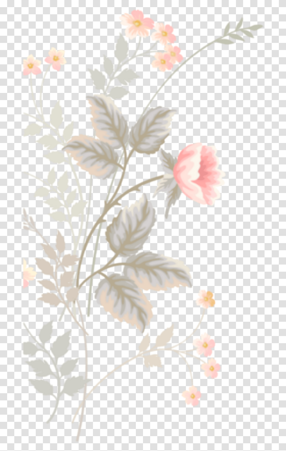 Flower, Floral Design, Pattern Transparent Png