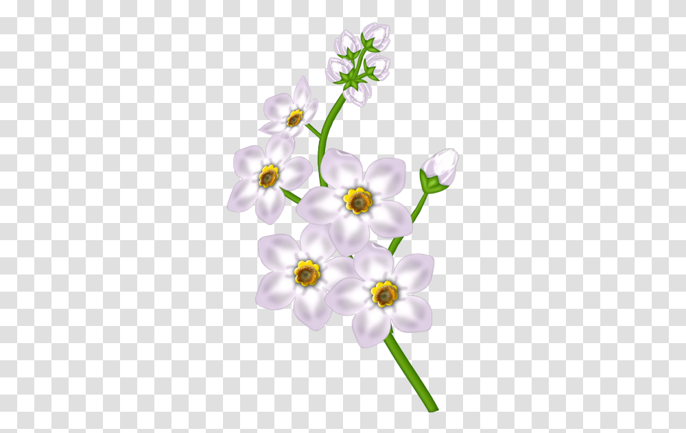 Flower Floral Design White Flower Clipart Good Morning Messages Marathi Download, Plant, Anemone, Blossom, Petal Transparent Png