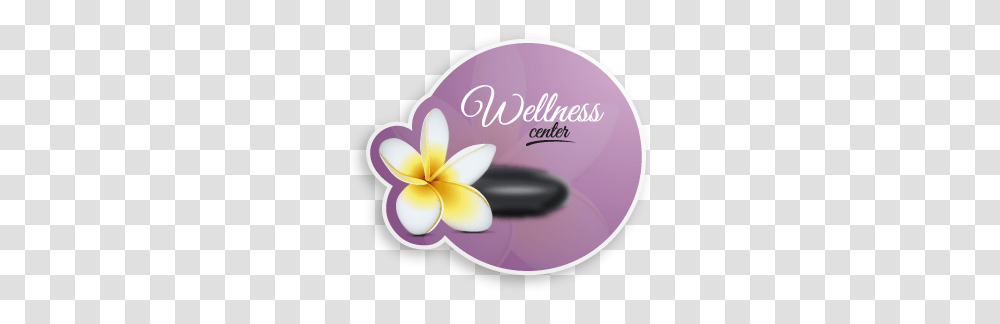 Flower Flower On Spa Stone Logo Frangipani, Cosmetics, Plant, Blossom, Face Makeup Transparent Png