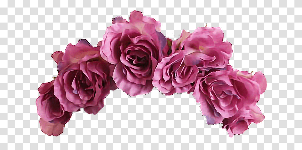 Flower Flowercrown Crown Aesthetic Aesthetic Flower Crown, Plant, Blossom, Carnation, Rose Transparent Png