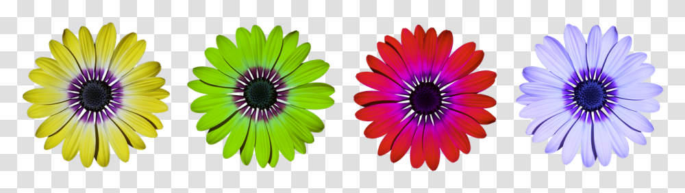 Flower Flowers Daisy Free Photo Daisy Flower Power Clipart, Plant, Daisies, Blossom, Treasure Flower Transparent Png