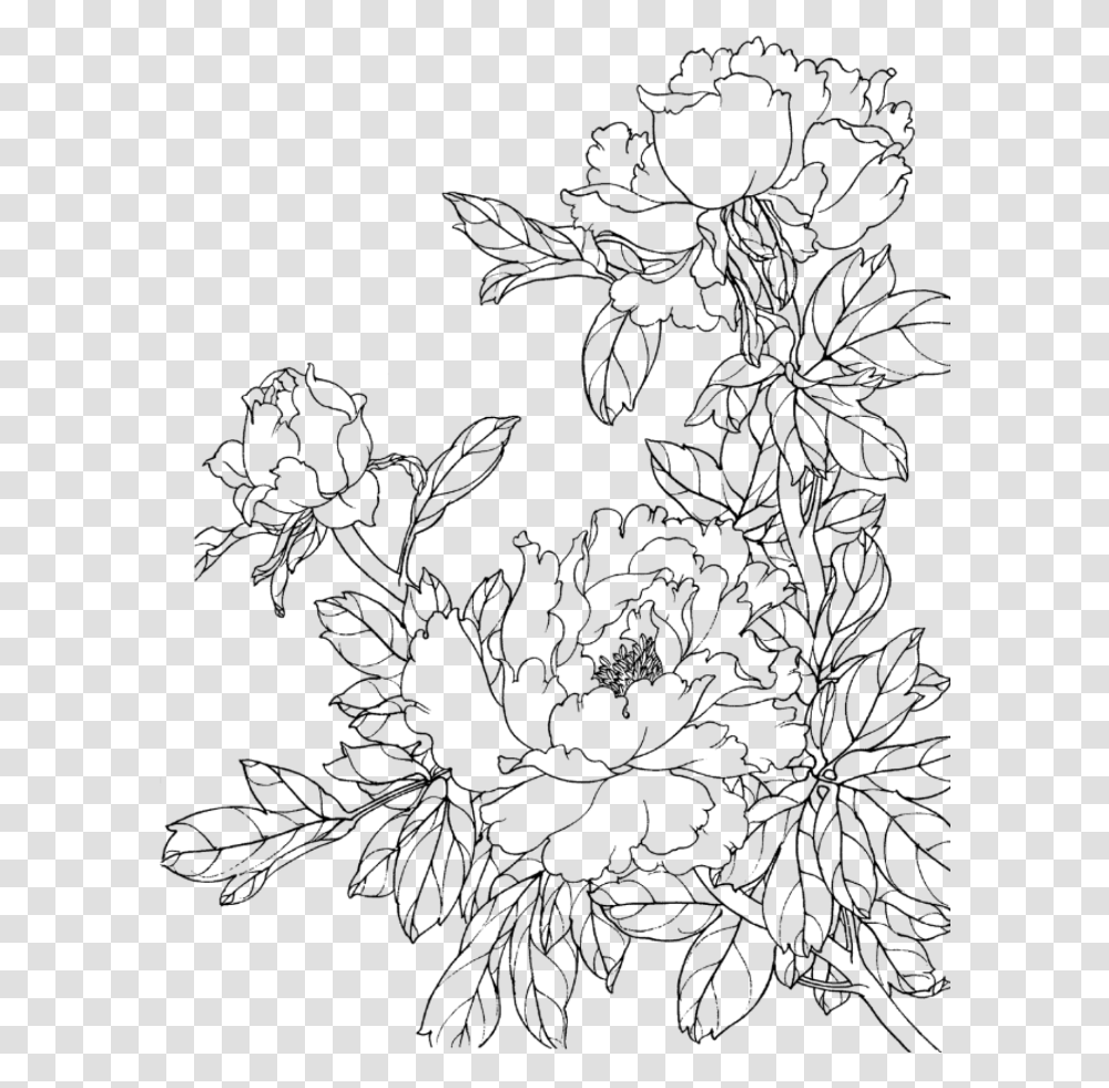 Flower Flowers Draw Drawing Scrapbook Scrapbooking Flower Line Drawing, Gray, World Of Warcraft Transparent Png