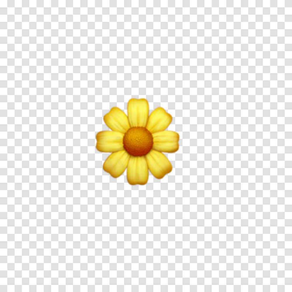 Flower Flowers Emoji Emojis Tumblr, Plant, Blossom, Daisy, Daisies Transparent Png