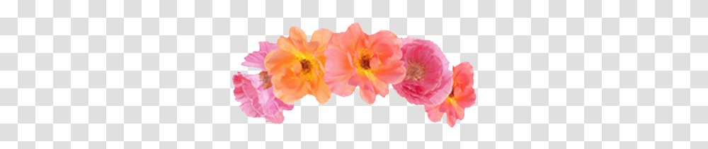 Flower Flowers Pink Orange Aesthetic Flowercrown Aesthetic Orange Flower Crown, Plant, Anther, Blossom, Petal Transparent Png