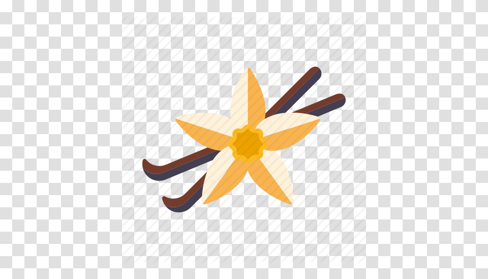 Flower Food Ingredients Pod Seasoning Spices Vanilla Icon, Star Symbol, Airplane, Aircraft Transparent Png