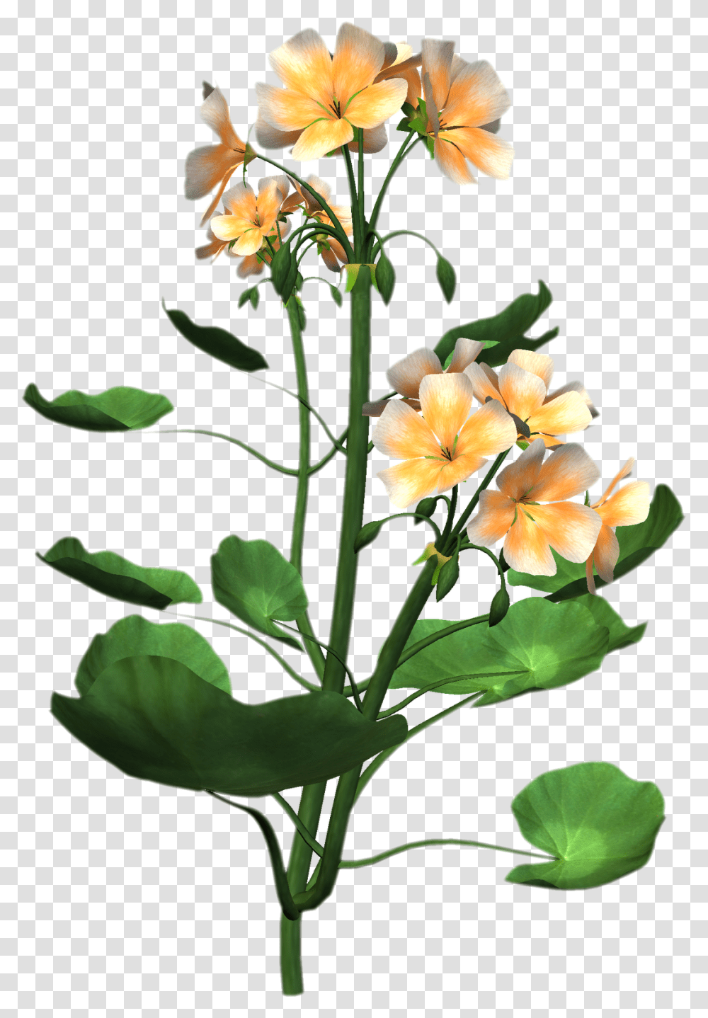 Flower For Embroidery Design Download Flower With Plant, Blossom, Flower Arrangement, Flower Bouquet, Ikebana Transparent Png