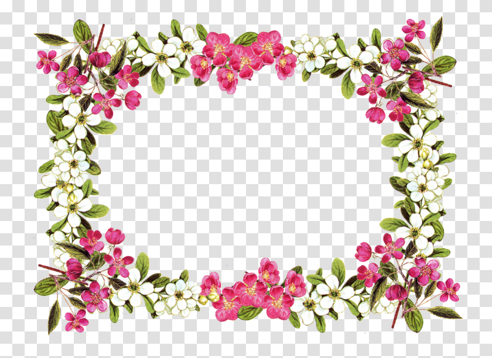 Flower Frame Background, Plant, Floral Design, Pattern Transparent Png