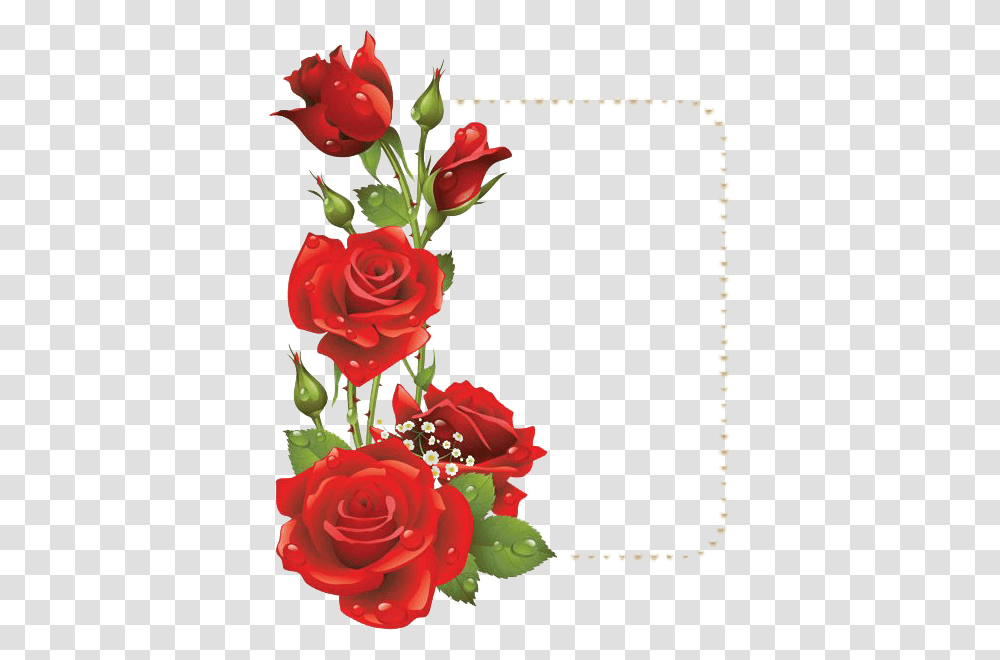 Flower Frame Images Free Download, Plant, Rose, Blossom, Flower Arrangement Transparent Png
