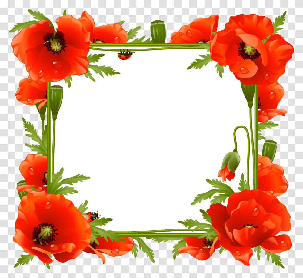 Flower Frame Poppies Frame Clipart Full Size Clipart Poppy Frame, Graphics, Floral Design, Pattern, Plant Transparent Png
