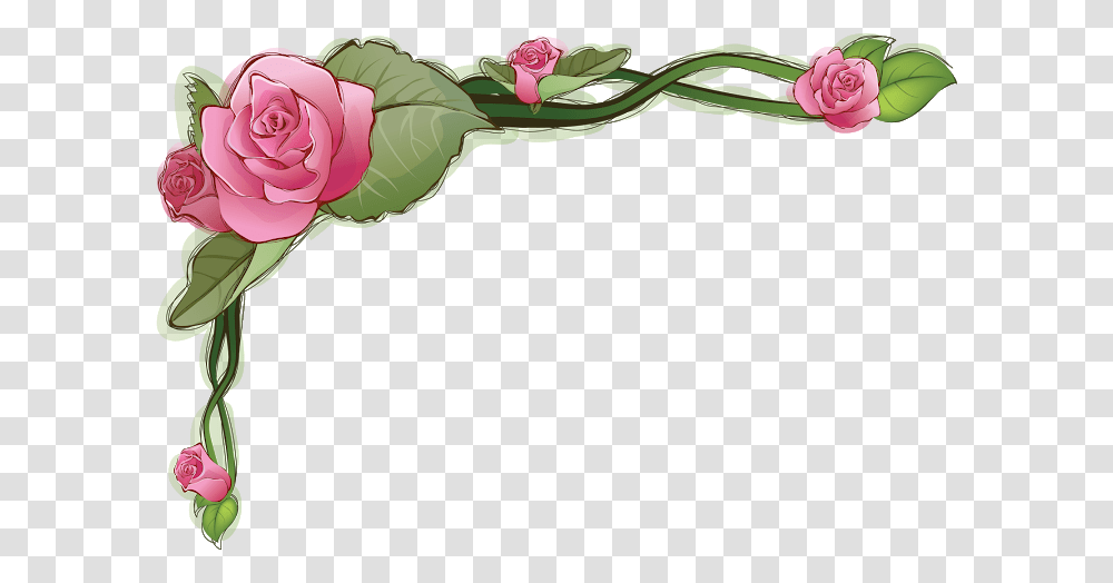 Flower Frame, Rose, Plant, Blossom, Petal Transparent Png