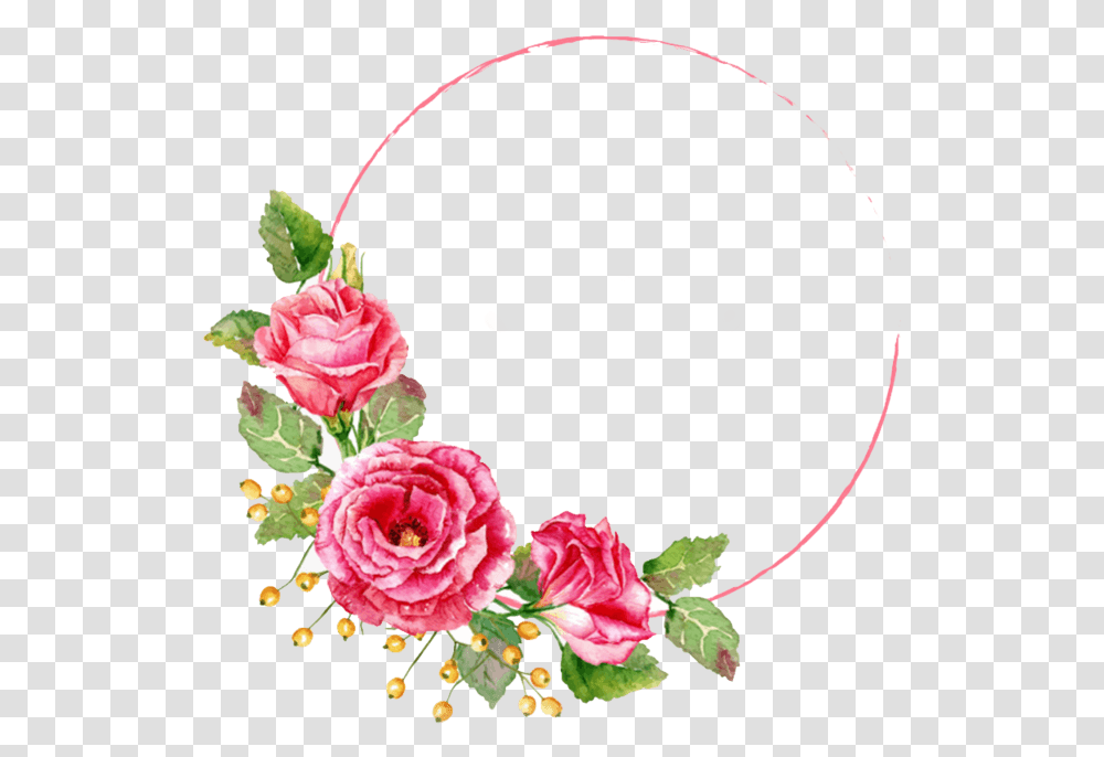 Flower Frame Vector, Plant, Blossom, Rose, Floral Design Transparent Png