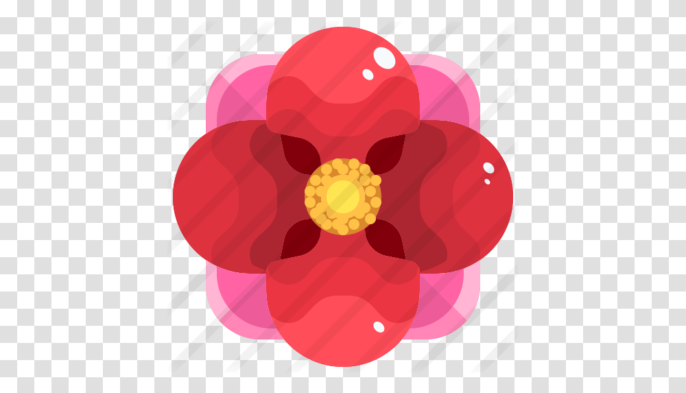 Flower Free Nature Icons Japanese Camellia, Raspberry, Fruit, Plant, Food Transparent Png