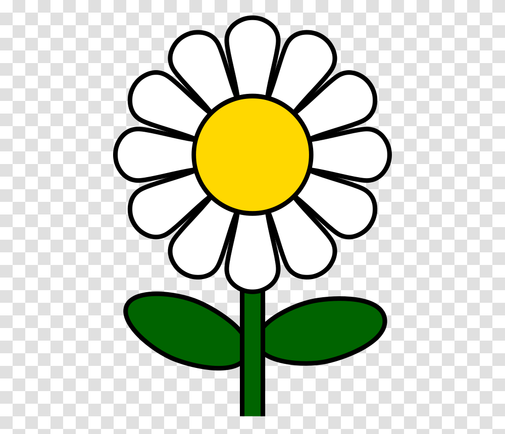 Flower Free Stock Clipart, Plant, Petal, Daisy, Anemone Transparent Png