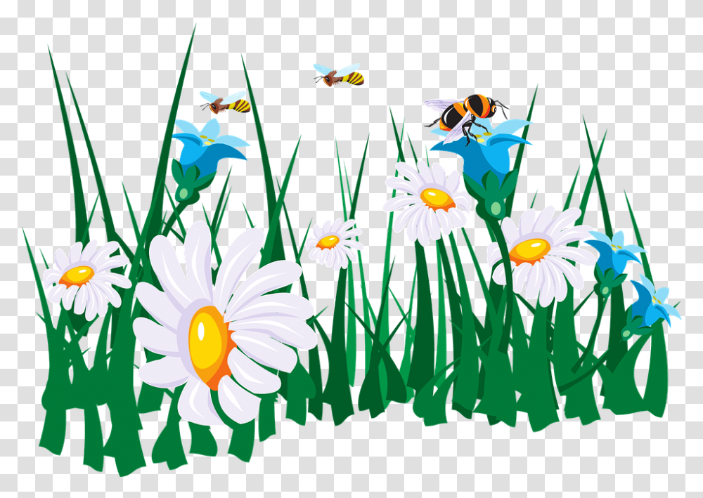 Flower Garden Cartoon 1 Image Bee And Flowers Clip Art, Daisy, Plant, Daisies, Graphics Transparent Png
