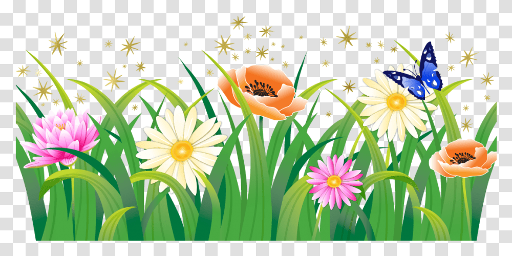 Flower Garden Flower Garden, Plant, Daisy, Petal, Pollen Transparent Png