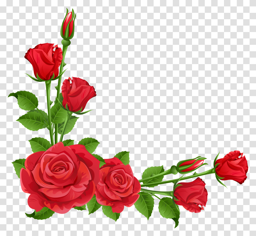 Flower Garden Perennial Plant Pixabay Border Rose Flower, Blossom, Flower Arrangement, Flower Bouquet, Petal Transparent Png